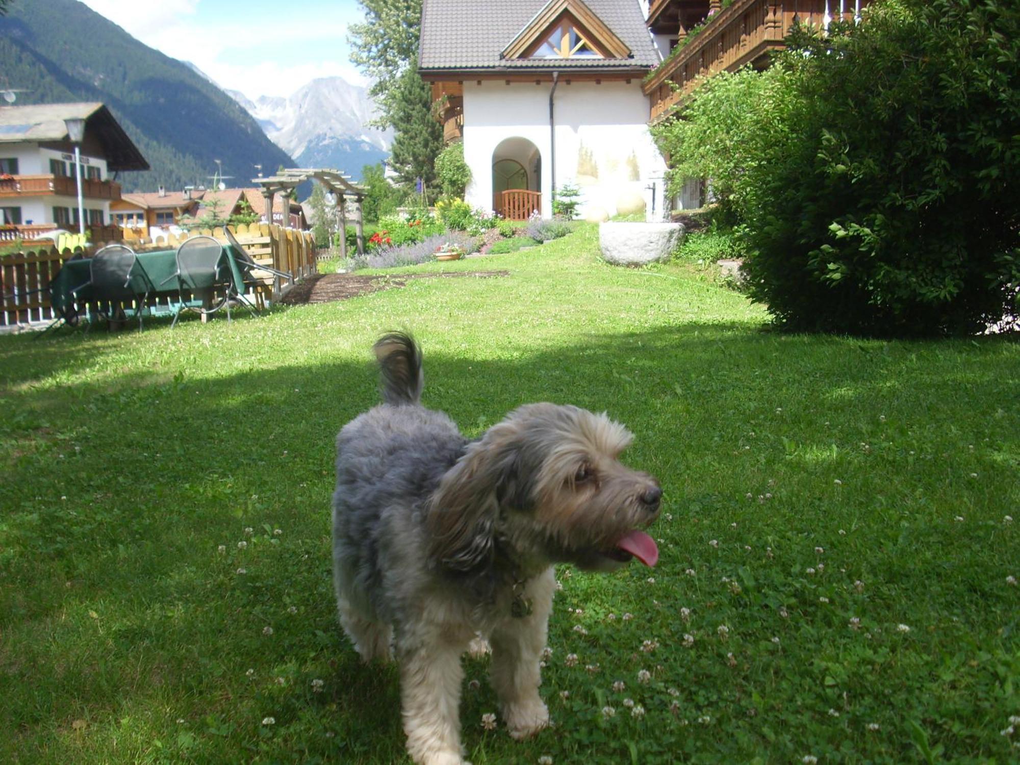 Apartments Residence Montana Rasun di Sopra Kültér fotó